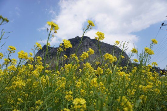 Montanha de Sanbangsan